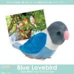 Yahoo! Yahoo!ショッピング(ヤフー ショッピング)ぬいぐるみ インコ 鳥 ボタンインコ ブルー SM215 1735 100+1 SKY アニマル 動物 リアル 太洋産業貿易 定形外郵便発送