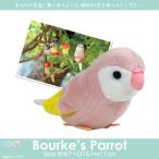 Yahoo! Yahoo!ショッピング(ヤフー ショッピング)ぬいぐるみ インコ 鳥 アキクサインコ SM216 1742 100+1 SKY アニマル 動物 リアル 太洋産業貿易 定形外郵便発送