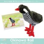 Yahoo! Yahoo!ショッピング(ヤフー ショッピング)ぬいぐるみ 鳥 ヤンバルクイナ SM255 2138 100+1 SKY アニマル 動物 リアル 太洋産業貿易 宅配便配送