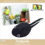 Yahoo! Yahoo!ショッピング(ヤフー ショッピング)ぬいぐるみ オタマジャクシ アニマル マグネット 磁石 SQ041 0099 100+1 LAND 両生類 蛙 カエル 毒ガエル 太洋産業貿易 定形外郵便発送