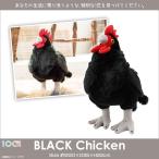 ぬいぐるみ ニワトリ 鶏 鳥 黒 SM258 2169 100+1 BLACK アニマル 動物 ブラック 太洋産業貿易 宅配便配送