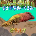 Yahoo! Yahoo!ショッピング(ヤフー ショッピング)ぬいぐるみ 魚 ピラルク 淡水魚 さかなくんプロデュース SK011 1703 おさかなぬいぐるみ 海の生き物 リアル 太洋産業貿易 宅配便配送 ラッピング不可
