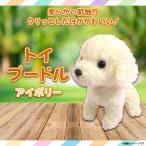 Yahoo! Yahoo!ショッピング(ヤフー ショッピング)ぬいぐるみ いぬ トイプードル 犬 イヌ アイボリー 2795 Dog Collection アニマル 動物 ペット 17cm スターチャイルド 定形外郵便発送