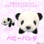 Yahoo! Yahoo!ショッピング(ヤフー ショッピング)ぬいぐるみ パンダ ベビーパンダ 5420 BEAR Collection アニマル 動物 スターチャイルド 定形外郵便発送