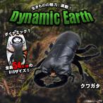 Yahoo! Yahoo!ショッピング(ヤフー ショッピング)ぬいぐるみ 大きい BIGサイズ 昆虫 クワガタ 10977 7324 Dynamic Earth 全長約54cm ド迫力 リアル ダイナソー 山二 宅配便配送 ラッピング不可