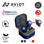 AVIOT TE-D01q2 ワイヤレスイヤホン ノイズキャンセリング   ブルートゥース 完全ワイヤレスイヤホン  Bluetooth 5.2 片耳モード 最大34時間再生 IPX4防水