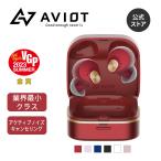 AVIOT TE-Q3 ノイズキャン