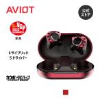 AVIOT TE-ZX1 ノイズキャンセリング ワイヤレスイヤホン ハイレゾ トライブリッド5ドライバー カウボーイビバップ ガイダンスボイス 最大20時間