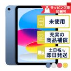 iPad 第10世代 256GB APPLE Wi-Fiモデル 新