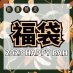 感謝大特価アクセサリー 福袋 福袋 レディース アクセサリー ジュエリー ピアス ネックレス ふくぶくろ 3300円 Happy Bag 【在庫限り】