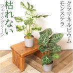 観葉植物 フェイク 大型 通販 フェイクグリーン アーティフィシャルグリーン インテリアグリーン 人工観葉植物 大きめ 鉢植え ポット 玄関 リビング