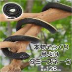  змея птица .. почтовый заказ веранда птица .. товары птица избежать товары птица исключая .... муляж Sune -k - to.. голубь ..kalas.. - to меры kalas меры защита от птиц птица ...