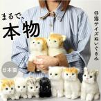 . сердце мягкая игрушка кошка .. кошка настоящий кошка. мягкая игрушка 20cm. это мягкая игрушка игрушка девочка нежный сделано в Японии .. симпатичный подарок подарок . видеть Mai .