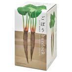 . новый керамика .... корнеплоды культивирование комплект gobou 