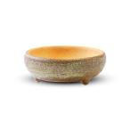 CtoC JAPAN Select 信楽焼 植木鉢 P29-7A 陶器 幅 19cm x 奥行 19cm x 高さ 7cm 6号 鉄鉢 おしゃれ 陶器