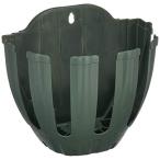 . глициния коммерческое предприятие разрез корзина SLT-25