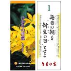 hi... слова &lt;. мир 3 год версия (2021 год версия )&gt;