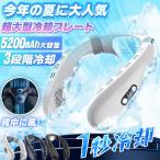 ネッククーラー 首掛け扇風機 ファン 半導体冷却扇風機 首掛け おしゃれ 羽なし 冷感グッズ 冷却プレート 首かけ扇風機 暑さ対策グッズ 冷却 静音 2024 最強