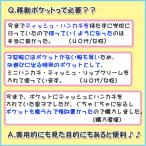 ポケモン ソード シールド ピカチュウ 移動ポケット 男の子 ポケットポーチ クリップ付き Buyee Buyee Japanese Proxy Service Buy From Japan Bot Online
