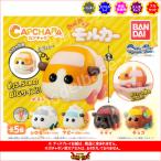 PUI PUI モルカー カプキャラ　P