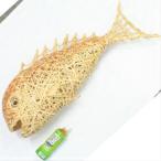 １点限り オーダーメイド 竹細工 桜鯛 ホテル 飲食店 飾り 手作り 日本製 。