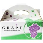  рука . коробка OT-1 виноград 1kg 1 листов несессер распродажа для коробка .. для виноград коробка виноград кейс сувенир фрукты виноград ..