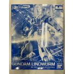 【未開封】1/100 RE/100 ガンダムリントヴルム 「ガンダムビルドダイバーズ Genius Head Line」 プレミアムバンダイ