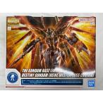 MG 1/100 ハイネ専用デスティニーガンダム BANDAI バンダイ プラモデル