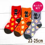 Trois Epri L̂ 2d҂ݗVN N[\bNX 22-25cm