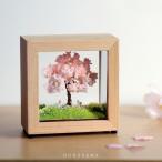 お部屋でお花見 ジオラマフレームセット 四季の丘〜春・満開の桜 ミニチュア プレゼント 誕生日 癒し