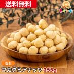 魅惑のマカダミアナッツ塩付き 255g 木の実 塩付き ロカボ メール便 ゆうパケット 送料無料 アルミ袋 チャック モグーグ