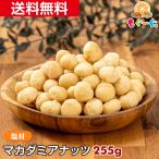 友口 魅惑のマカダミアナッツ(塩付き)300g(300g×1袋)