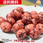 魅惑の梅ピー 1920g 和菓子 梅 ウメ うめ お菓子 送料無料 友口 豆菓子 食品 食育 おやつ お茶請 ギフト 豆 紀州梅