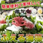 [15%OFF купон распространение средний ] водоросли салат большая вместимость ... водоросли 5 вид (5g×30.) горячая вода возврат не необходимо The ru не необходимо . черепаха нить холод Tempaku иудино ухо водоросли Mix 