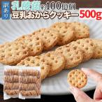 【15%OFFクーポン配布中】乳酸菌約100億個【訳あり】豆乳おからクッキー250g×2袋 豆乳おからクッキー おから 豆乳 乳酸菌 クッキー 焼き菓子