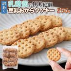 【15%OFFクーポン配布中】乳酸菌約100億個【訳あり】豆乳おからクッキー250g 豆乳おからクッキー おから 豆乳 乳酸菌 クッキー ダイエット