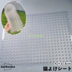  защита от кошек коврик togetoge..... хорошо кошка меры баловство предотвращение кошка исключая . кошка избежать ..... прозрачный цвет садоводство небо фарфоровая пиала крыша веранда 