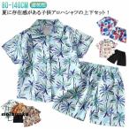 ショッピングビーチウェア 上下セット ショートパンツ 子供服 キッズ 幼児服 可愛い 半袖シャツ 男の子 ハワイ風 アロハシャツ ビーチウェア 総柄 旅行 80 90 100