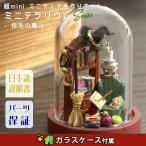 ミニチュア 手作りキット 日本語説明書 DIY  テラリウム 4.5cm×直径2.6cm 初心者 簡単 ガラス インテリア | 指先の魔法