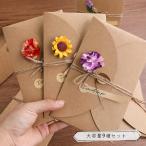 ショッピングメッセージカード無料 メッセージカード  ドライフラワー 花 フラワー レターセット カード+封筒+シール+紐+花 9種セット /  Mサイズ 17.4×11cm