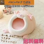 モルモットフェレットうさぎ子犬子猫ベッドハウス家小屋寝床ドーム型おうちふわ...