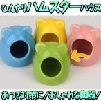  хомяк мелкие животные house bed керамика зеленый .... холодный хочет лето тепловая защита ... охлаждающий . чувство животное гнездо коробка белка Jean ga Lien Robot rof лыжи 