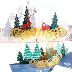 moin moinクリスマスカード 2種セット ( 封筒 付 ) メッセージカード グレーディング 繊細 美麗|飛び出す 3D 立体 トナカイ 雪の結晶 スノー