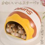  золотой хомяк gold медведь птица длиннохвостый попугай белка домашнее животное мелкие животные house bed дом маленький магазин . пол .. дом ... подушка мед pot ( большой ) кухня. 