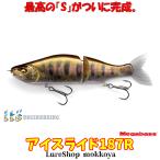 アイスライド187R　i-SLIDE　メガバス　MEGABASS　ビックベイト