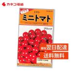  мини помидоры вид .. вид compact . культивирование легко огород предназначенный ... мясо качество . прекрасный тест поле посадочная машина высшее . сырой 15g передний и задний (до и после) plitsuka кошка вид рассада 