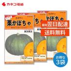  тыква вид 3 пакет комплект культивирование легко огород поле посадочная машина для бизнеса Tokyo юг . каштан тыква 1kg передний и задний (до и после) ka кошка вид рассада 