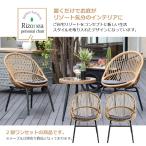 ガーデンチェア リゾート リゾネア オーバルチェア （2脚入り）
