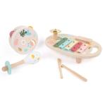  музыкальные инструменты металлофон mala rental тамбурин игрушка младенец 1 лет половина 2 лет день рождения подарок Iris музыка комплект Рождество подарок 