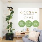 ne это .. дерево кошка tree solaW450 D400 H2400-2600. это .. дерево серии кошка tree домашнее животное мебель искусственная зелень коготь ..FB-CT24SR